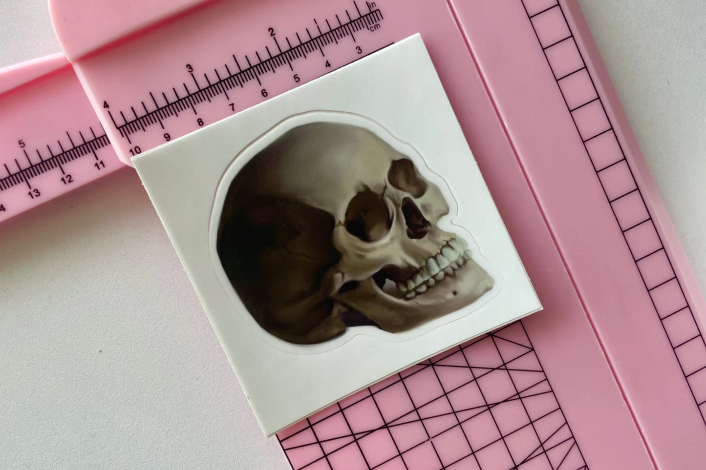 Memento Mori Skull | Matte Illustrated Vinyl Sticker