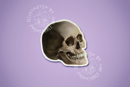 Skull Matte Illustrated Vinyl Sticker | Original Artwork Illustration