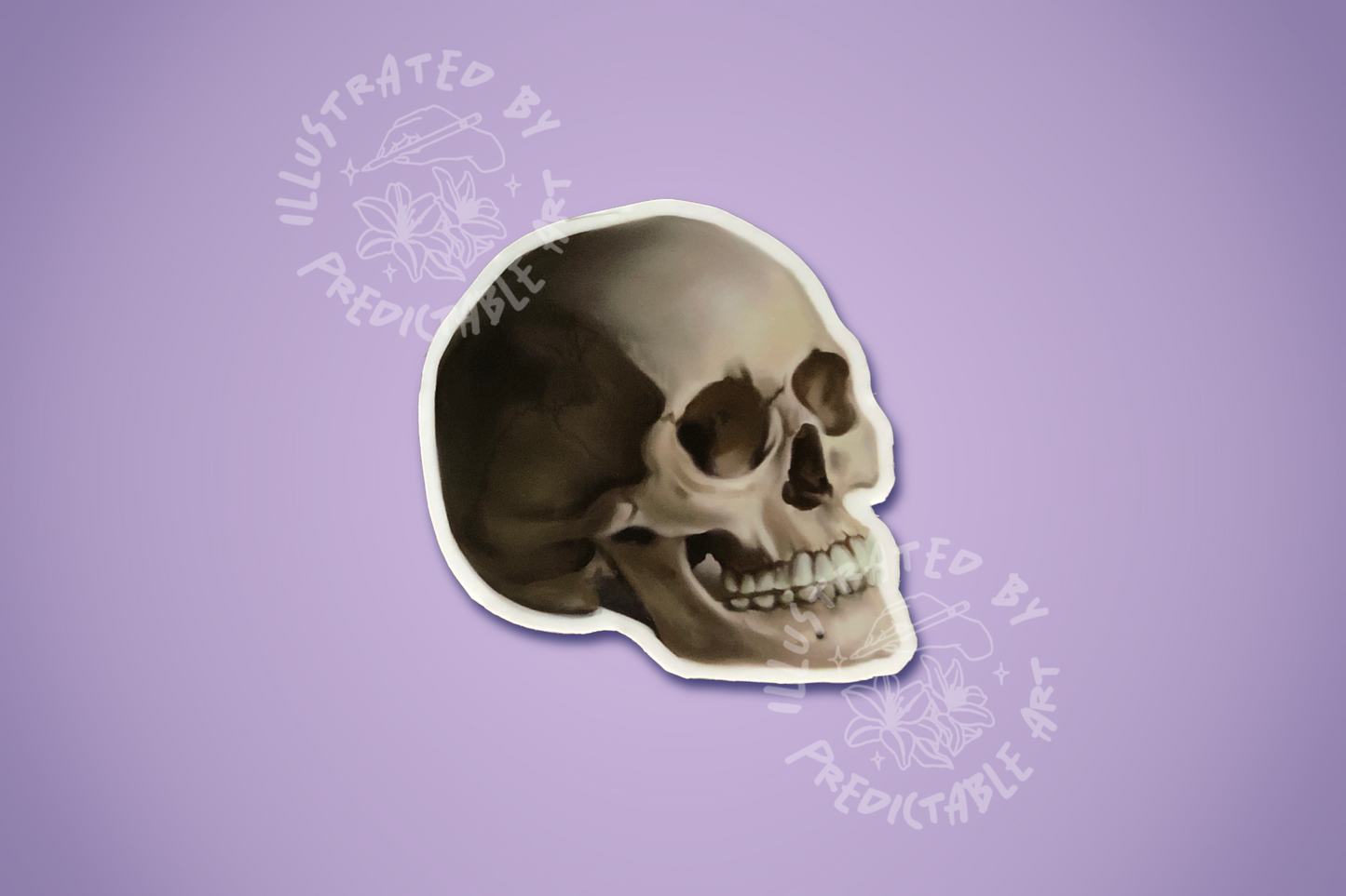 Memento Mori Skull | Matte Illustrated Vinyl Sticker