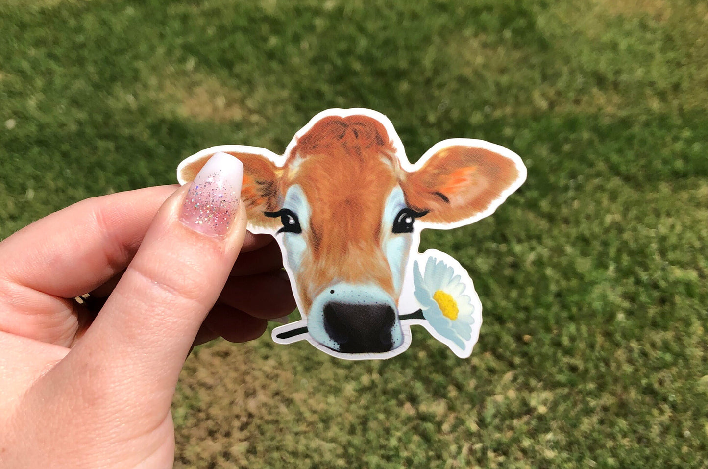 Daisy Cow 3" Illustrated Vinyl Sticker | available in Shiny Gloss & Matte finish