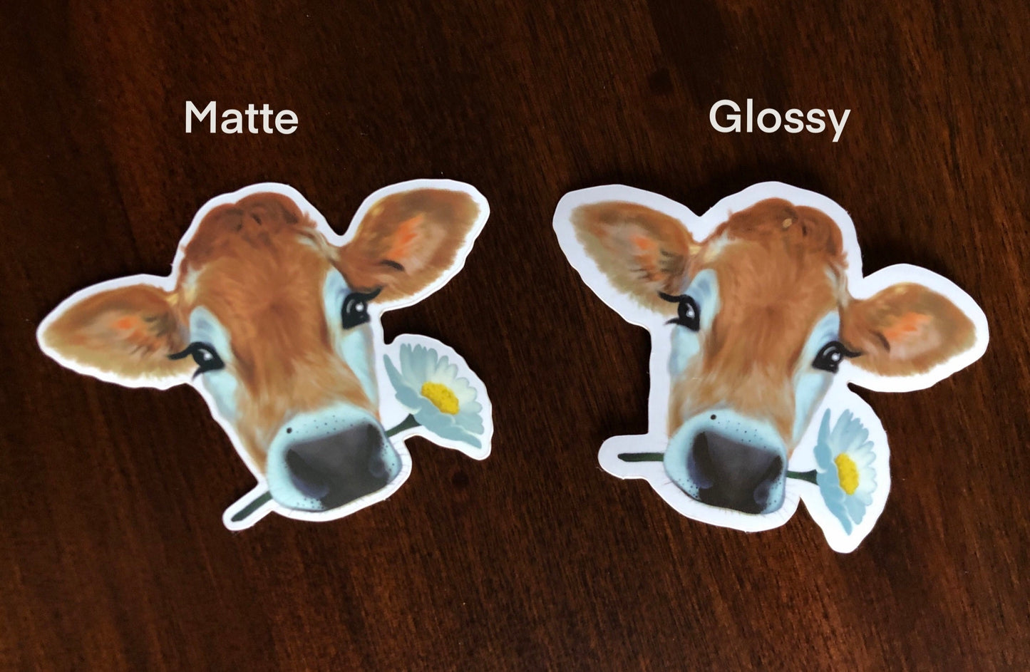 Daisy Cow 3" Illustrated Vinyl Sticker | available in Shiny Gloss & Matte finish