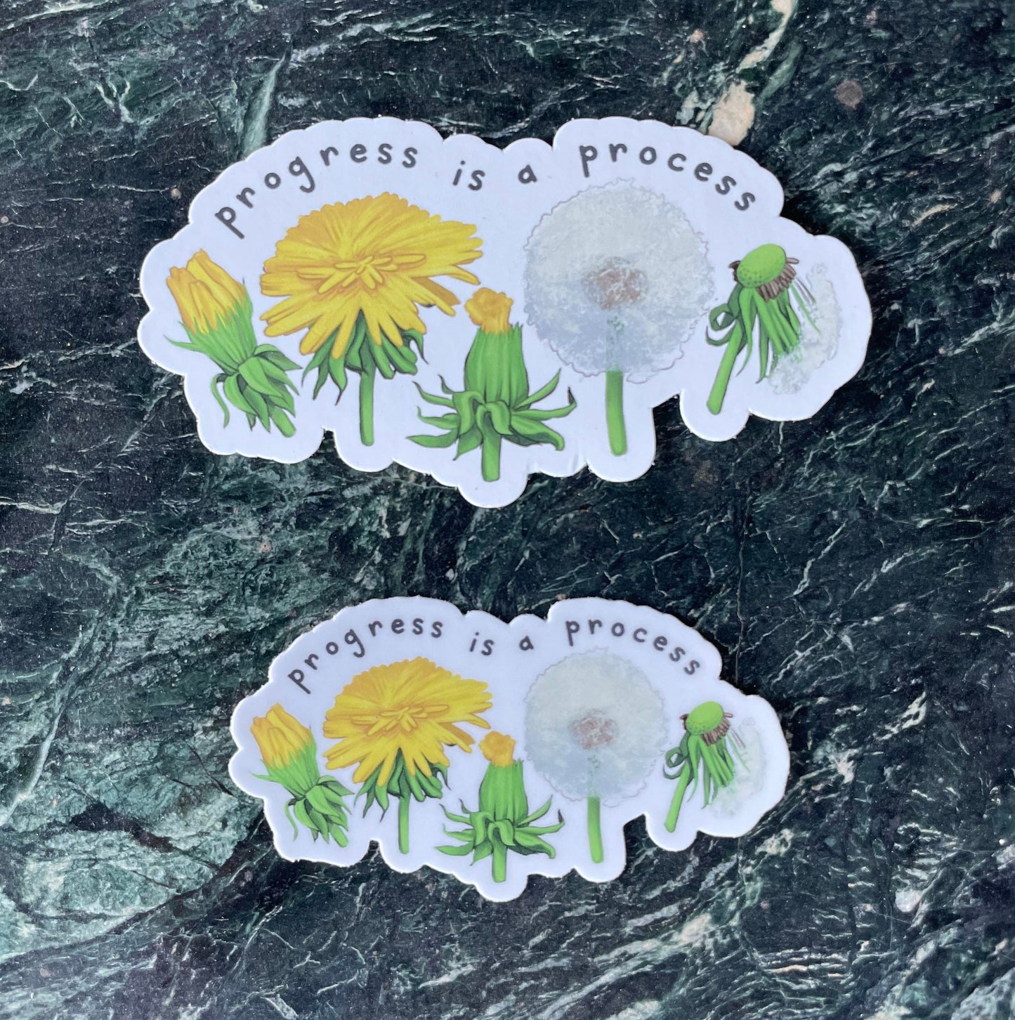 Progress is a Process | Dandelion Life Cycle Inspirational Illustrated Matte Vinyl Sticker