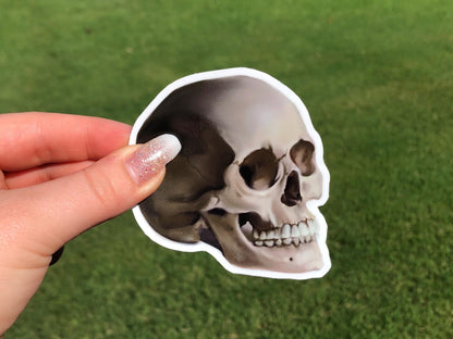 Memento Mori Skull | 3" Illustrated Matte Vinyl Sticker