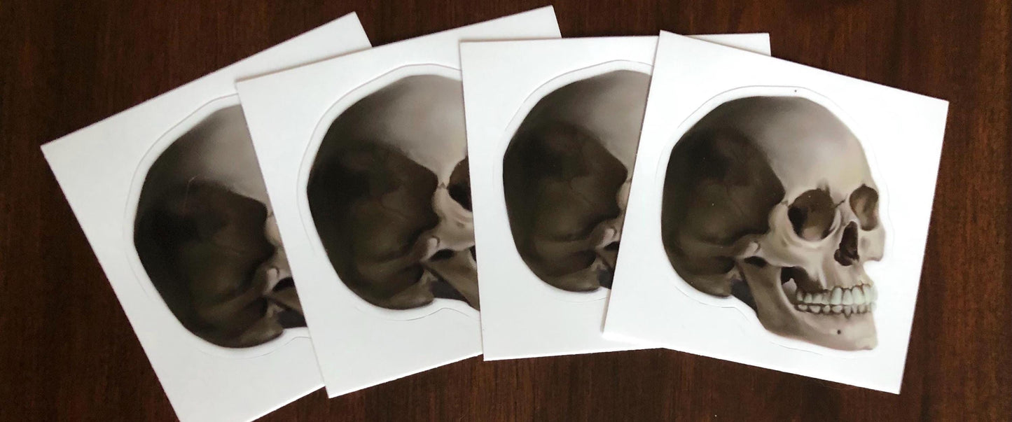 Memento Mori Skull | 3" Illustrated Matte Vinyl Sticker