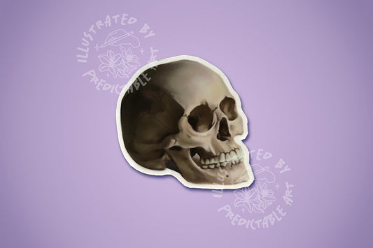 Skull Matte Illustrated Vinyl Sticker | Original Artwork Illustration