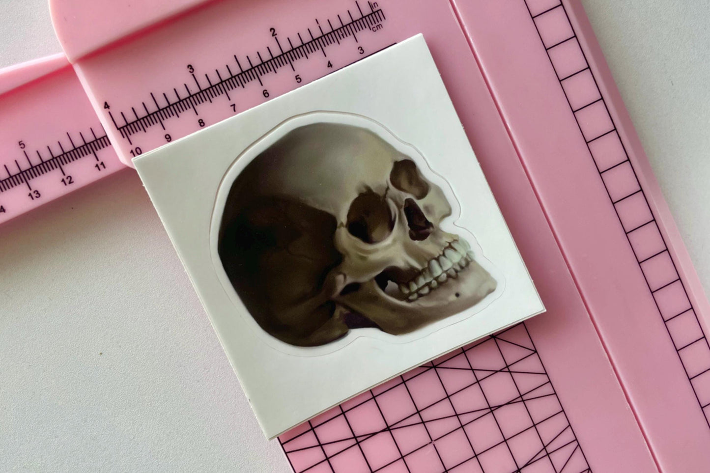 Memento Mori Skull | 3" Illustrated Matte Vinyl Sticker